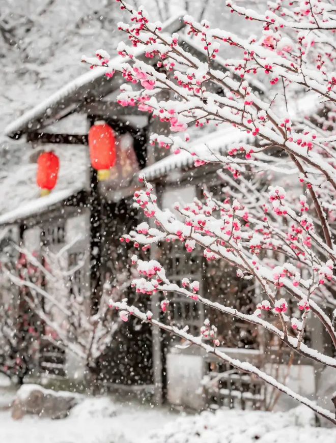 水、身体炸划算还有节日限定香薰、香包AG真人国际游戏香香好物丨欧珑正装香(图20)