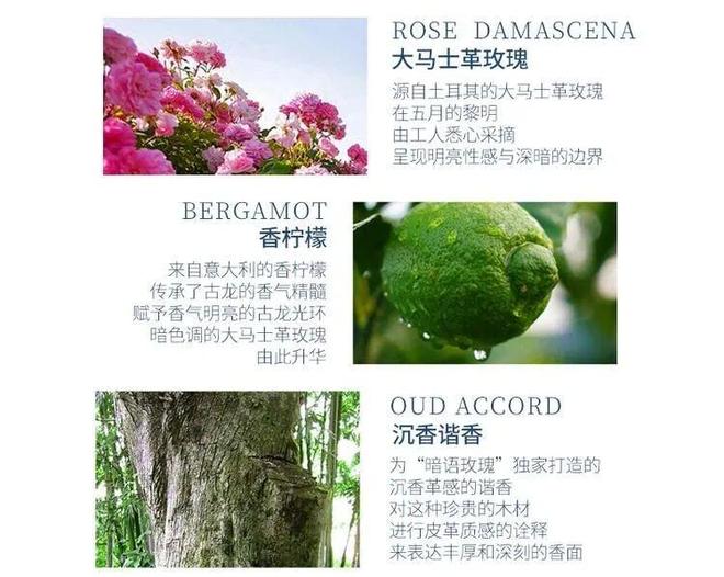 水、身体炸划算还有节日限定香薰、香包AG真人国际游戏香香好物丨欧珑正装香(图2)