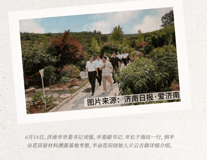 花田凭天然洗护跻身国货标杆AG真人深耕十五载 半亩(图3)